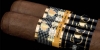 cohiba humidor cohiba 1966 / #994930