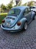 vw 1303 big