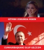 recep tayyip erdoğan ın cumhurbaşkanı adayı olması