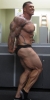 rich piana / #775454