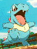 totodile / #983880