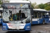 gezi de tahrip edilen otobüsler / #558705