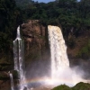 kamerun / #560423