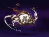 cadbury / #956475