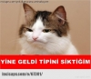 özel mesaja cevap vermeyen sözlük kezbanı / #830500