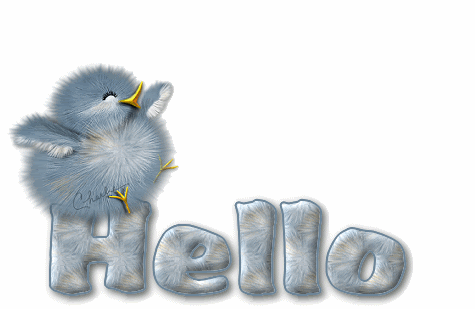 hello