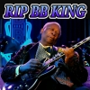 b b king