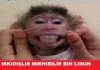 uludağ sözlük sesli entry reklamı / #935254