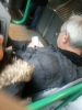 metrobüste karısına mesaj yazan yaşlı amca / #708999