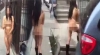 newyorkta karısını zorla çırılçıplak gezdiren adam / #948496