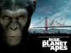 rise of the planet of the apes / #563504