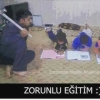 zorunlu eğitim / #853846