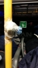 otobüsteki dur butonuna pet şişe geçirmek / #955597