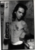 nick cave