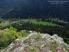 ağlı