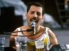 freddie mercury