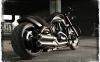 harley davidson nightrod / #789632