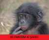 kendini affettirmek için seks yapmak / #719109