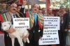 kopekler girebilir yahudiler ve ermeniler giremez / #947675