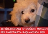 otobüste kek servisi başlayınca aniden uyanan kişi / #616355