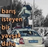 polis otosunun üstünde barış istemek / #858413