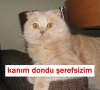 sevgilisinin klitorisini yalayan erkek / #658662