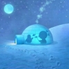 igloo