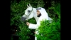 sheikh mishary rashid al afasy