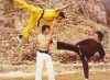 bruce lee vs jackie chan