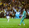 fenerbahçe